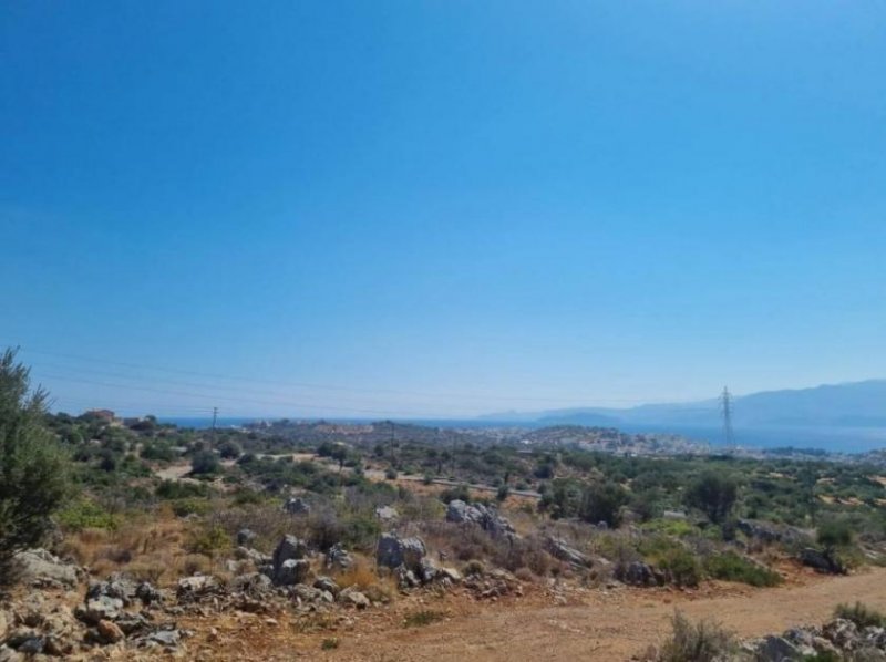 Agios Nikolaos Kreta, Agios Nikolaos: Baugrundstück mit Meerblick zu verkaufen Grundstück kaufen